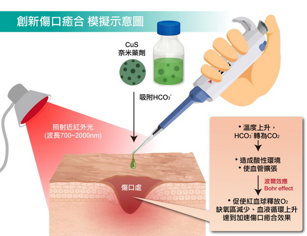 ▲硫化铜粒子吸附小苏打粒子，透过近红外光照射，小苏打粒子遇热产生二氧化碳，伤口环境转变成弱酸性，触发波尔效应，提高伤口氧气浓度，加速伤口愈合。