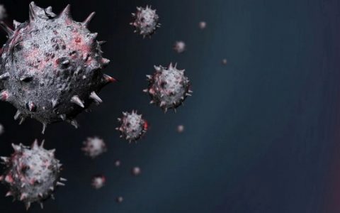 这个会侵蚀人类脑袋的疾病在日本造成的死亡人数持续上升