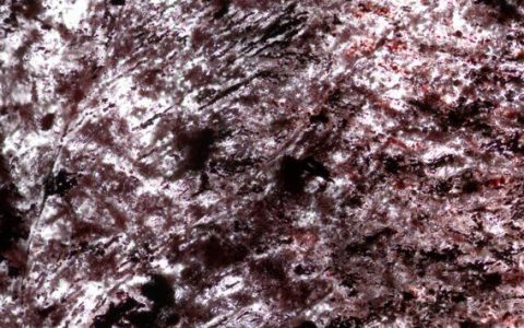 科学家发现37.5亿年多样化的微生物：生命起源时间提前3亿年