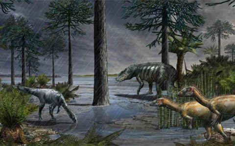 卡尼期洪积事件：真的降了200万年的大暴雨？