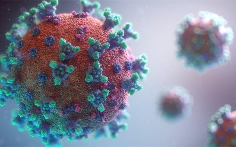 世界历史上死亡人数最多的病毒排行榜：黑死病最多杀死2亿人
