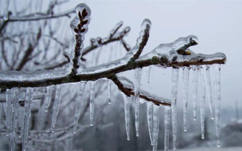 什么是冻雨：寒冷天气里的一种极为危险的雨