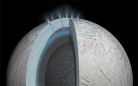土卫二：土星的第六大卫星，地下海洋中可能存在生命