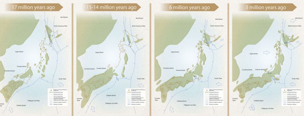 1700万年前的时候，日本西南部顺时针旋转，日本海扩张至与现在大致相同的规模。从陆地带走的沙子和泥土堆积在海底。这一时期形成的地层分布在岛根县沿海地区。1500~1400万年前的时候，日本海停止扩张，日本列岛的基础由此形成。岛根县的陆地几乎与现在完全相同，只是因来自南方的板块压力而隆起。600万年的时候，岩浆活动在日本西南部各地形成了碱性岩。在岛根县，隐岐诸岛、滨田市等地都能找到这一时期喷发的岩石。300万年前的时候，火山活动主要转移到日本海沿岸地区。随着时间的推移，海岸线逐渐退入海中，包括隐岐群岛在内的许多地区变成了陆地。